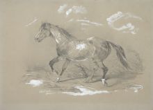 Каразин Н. Н. "Бегущая лошадь" 1861. Бумага тонированная, карандаш, белила Каразин Н. Н. "Бегущая лошадь" 1861. Бумага тонированная, карандаш, белила