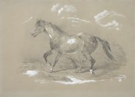 Каразин Н. Н. "Бегущая лошадь" 1861. Бумага тонированная, карандаш, белила
