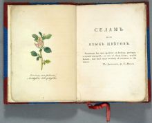 Селам, или Язык цветов